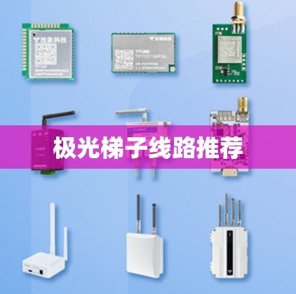 极光梯子线路推荐
