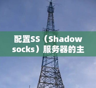 配置SS（Shadowsocks）服务器的主要步骤如下