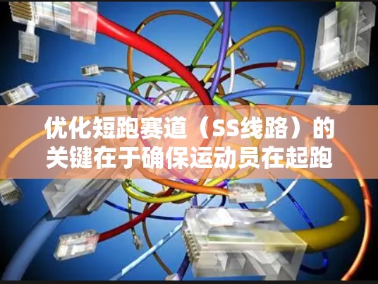 优化短跑赛道（SS线路）的关键在于确保运动员在起跑和冲刺阶段能够达到最佳状态。以下是一些详细的优化技巧和建议