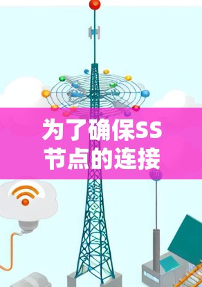为了确保SS节点的连接正常,按照以下步骤进行测试 为了确保SS节点的连接正常,按照以下步骤进行测试