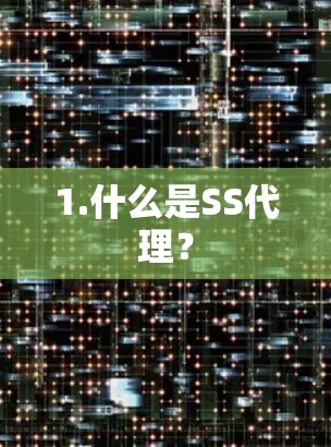 1.什么是SS代理? 1.什么是SS代理?