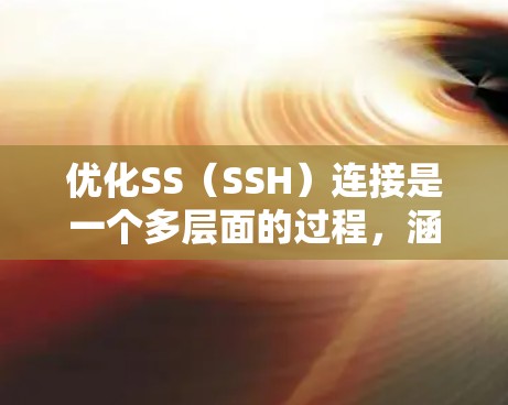 优化SS(SSH)连接是一个多层面的过程,涵盖了服务器配置、客户端设置、安全性、监控和日志分析等多个方面。以下是对各个方面的详细分析和优化方法 优化SS(SSH)连接是一个多层面的过程,涵盖了服务器配置、客户端设置、安全性、监控和日志分析等多个方面。以下是对各个方面的详细分析和优化方法